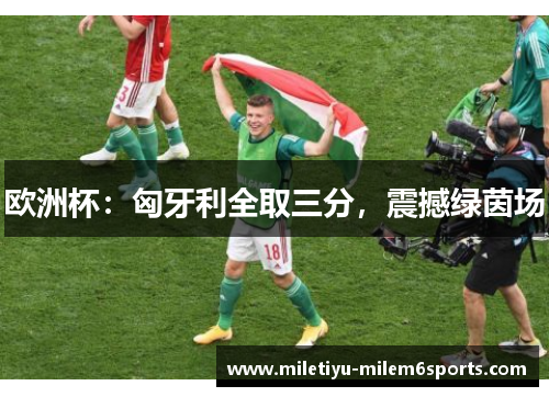 欧洲杯：匈牙利全取三分，震撼绿茵场